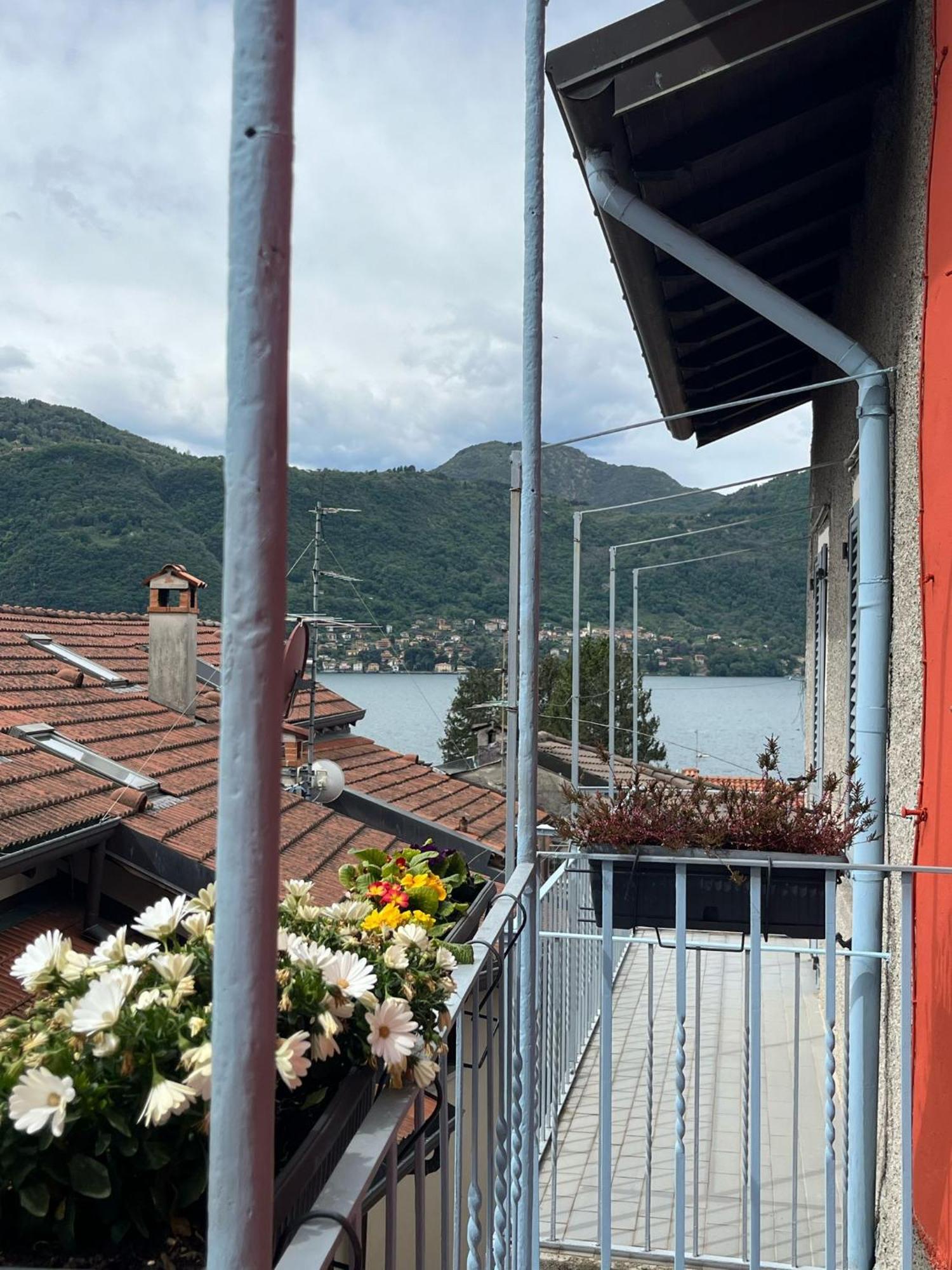 Il Gatto E La Volpe Foresteria Lombarda Lierna Esterno foto